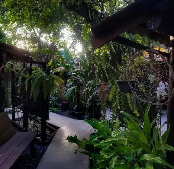 ペンション Pousada Raiz Forte