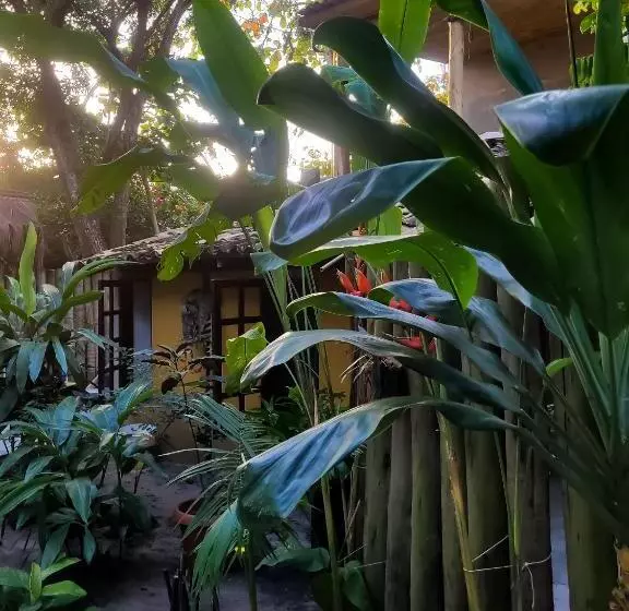 ペンション Pousada Raiz Forte