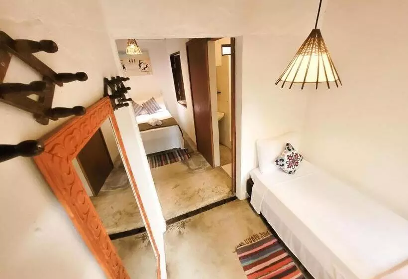 ペンション Pousada Raiz Forte