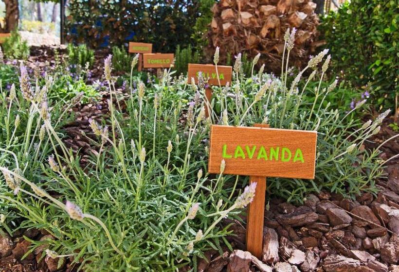 Lindner Hotel Mallorca Portals Nous, Part Of Jdv By Hyatt