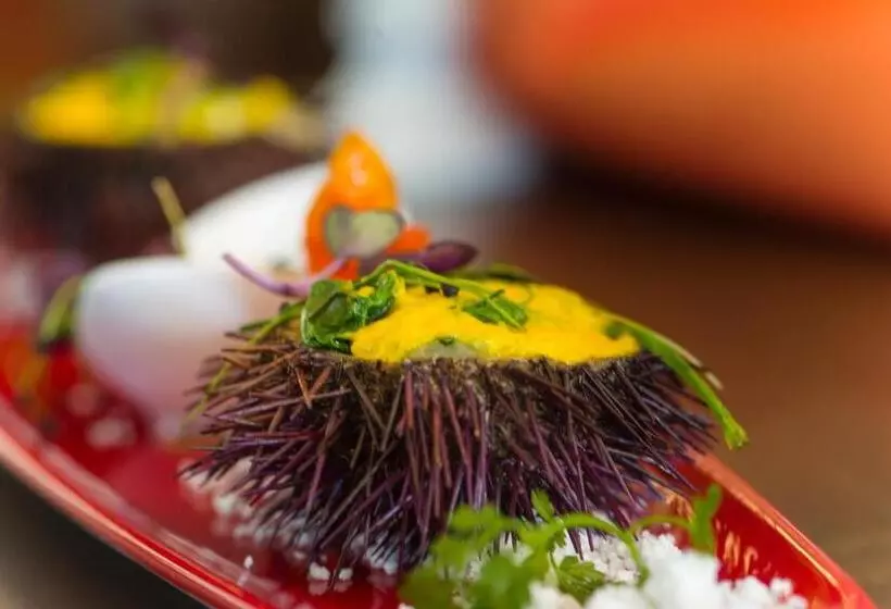 Lindner Hotel Mallorca Portals Nous, Part Of Jdv By Hyatt