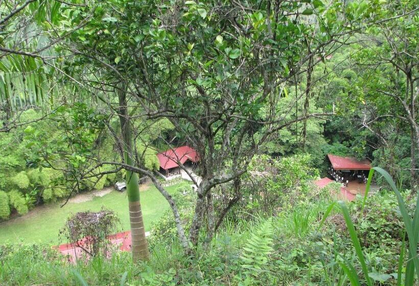 هتل Platon Ecolodge