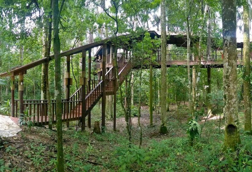 هتل Platon Ecolodge