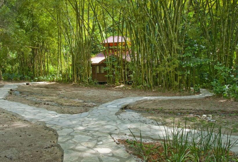 هتل Platon Ecolodge