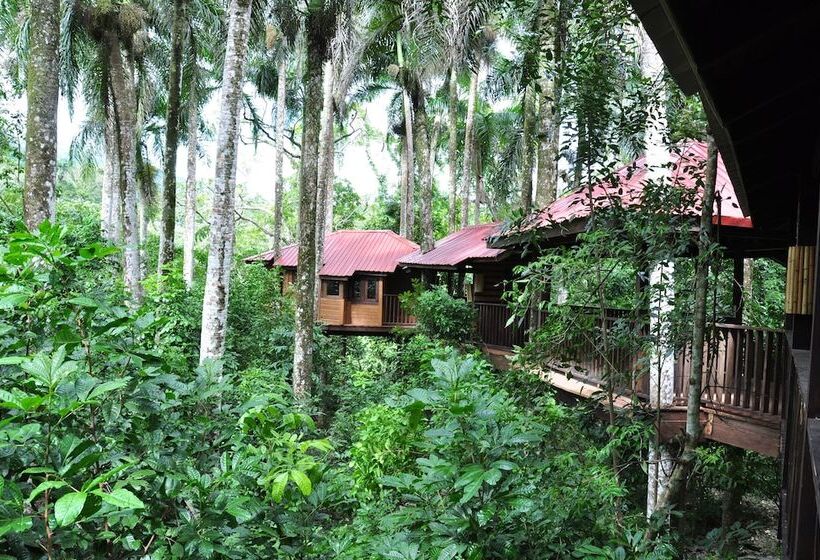 هتل Platon Ecolodge