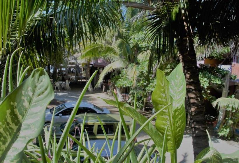 فندق Posada Lolas Lino