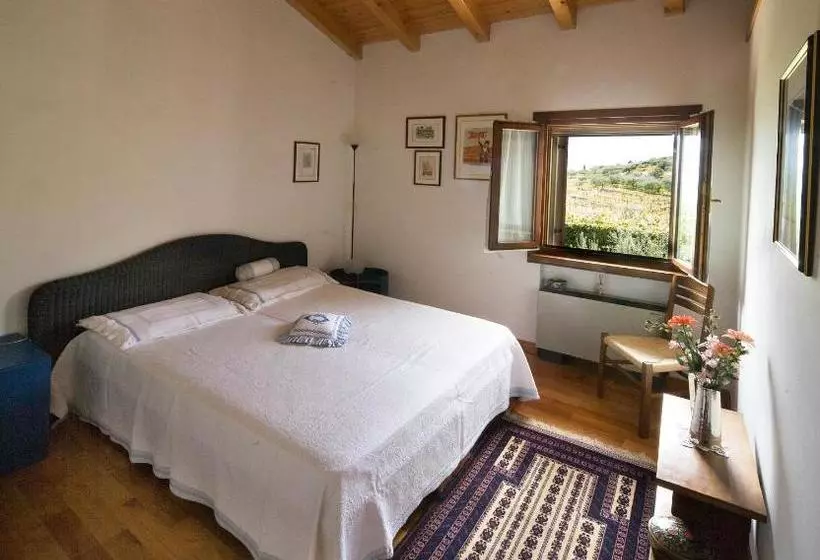 B&b Il Pettirosso