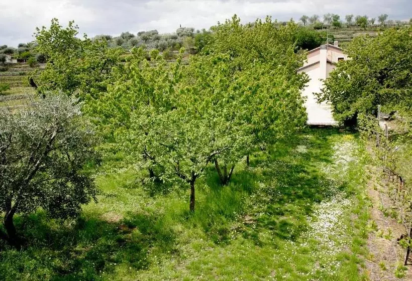 B&b Il Pettirosso
