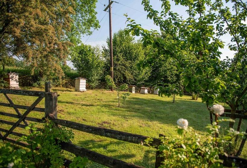 Alltybrain Farm Cottages And B&b