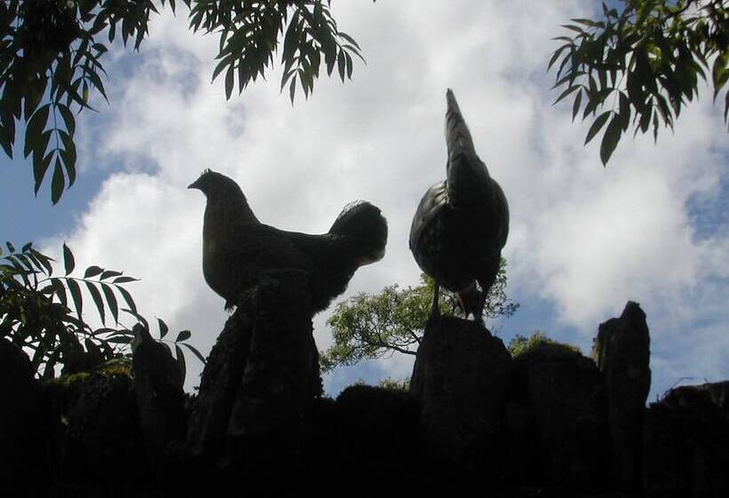 Alltybrain Farm Cottages And B&b