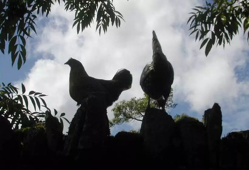 Alltybrain Farm Cottages And B&b