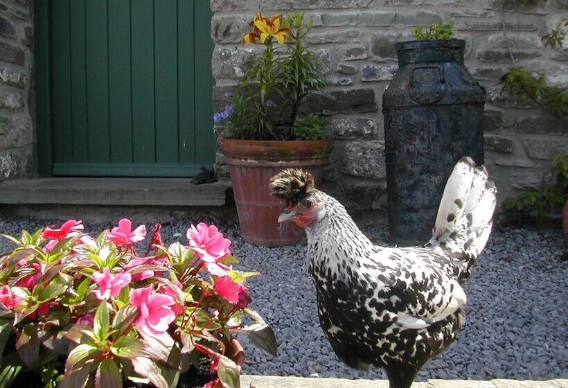 Alltybrain Farm Cottages And B&b