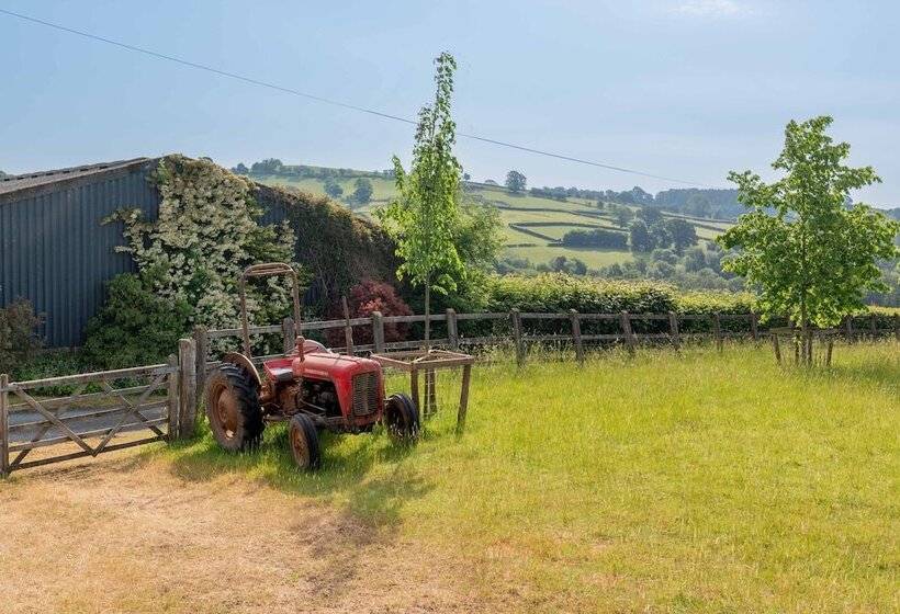 Alltybrain Farm Cottages And B&b
