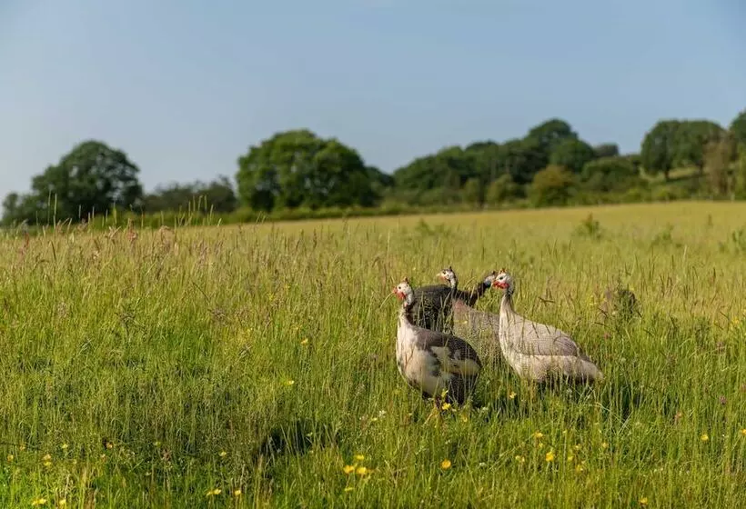 Alltybrain Farm Cottages And B&b