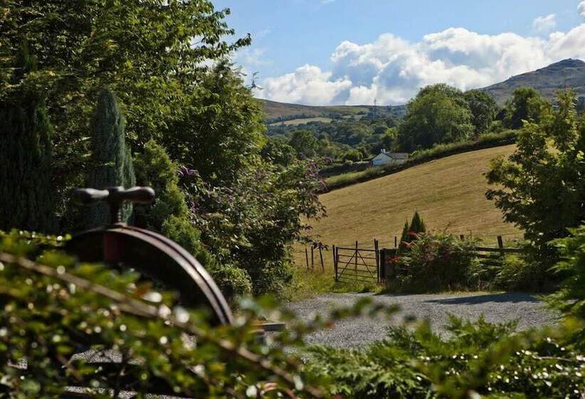 Coed Mawr Hall Bed & Breakfast