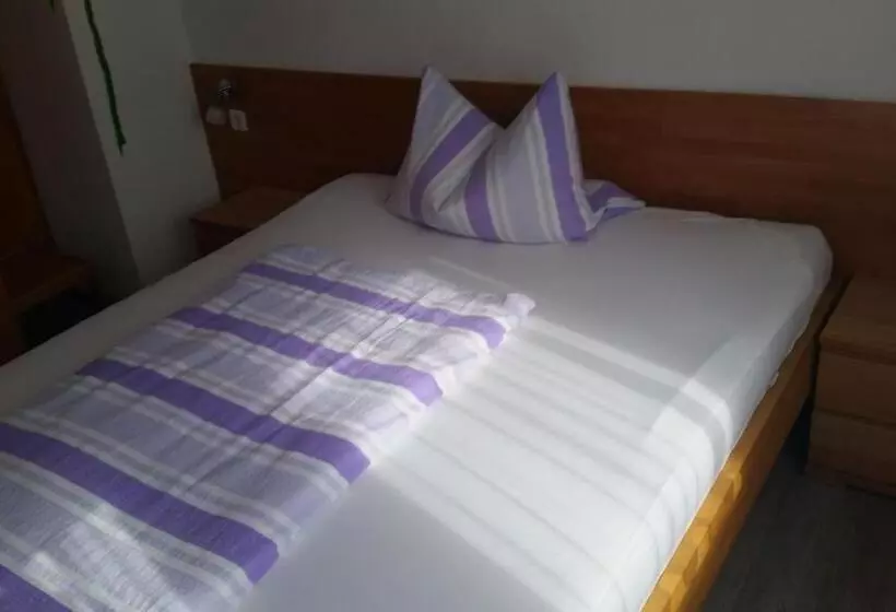 Hotelli Gasthof Zur Frohen Einkehr