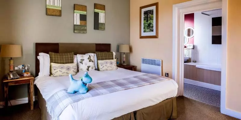 Hotelli Spot In The Woods