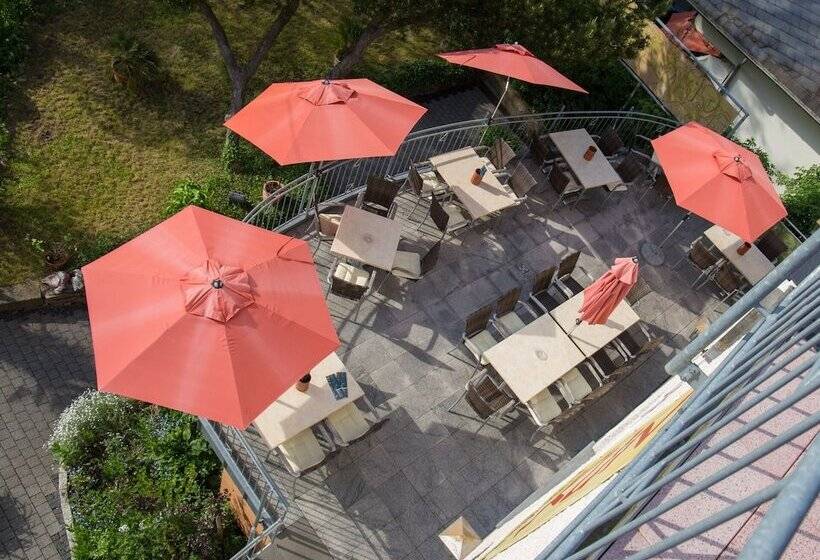 호텔 Zur Post Burg An Der Mosel