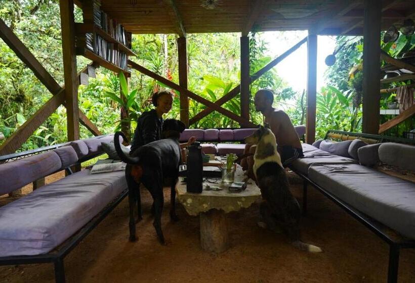 הוסטל Bolita Trails And Lodging