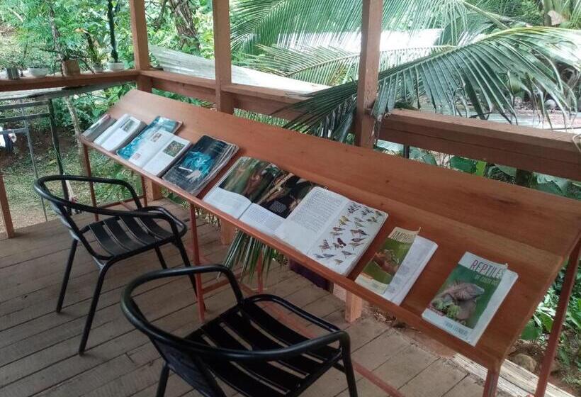 הוסטל Bolita Trails And Lodging