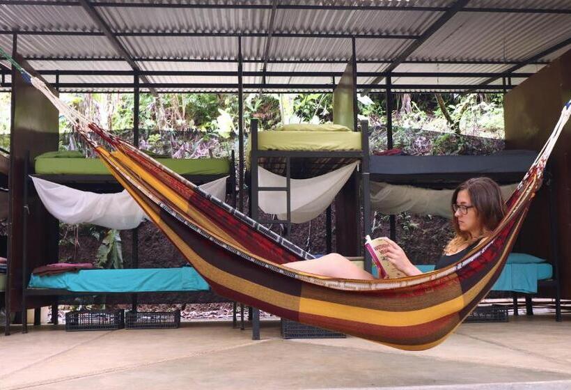 הוסטל Bolita Trails And Lodging