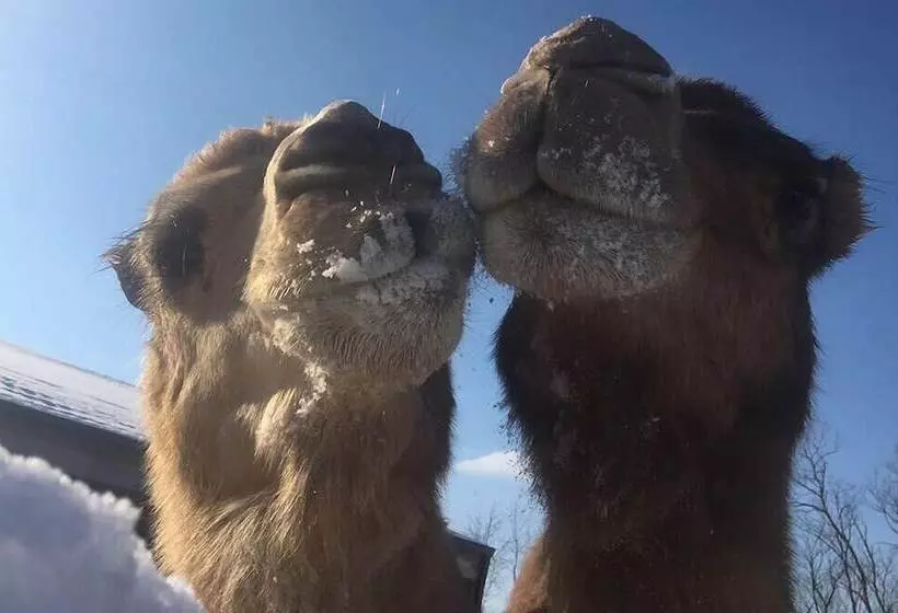 Retkeilymaja The North Star Inn