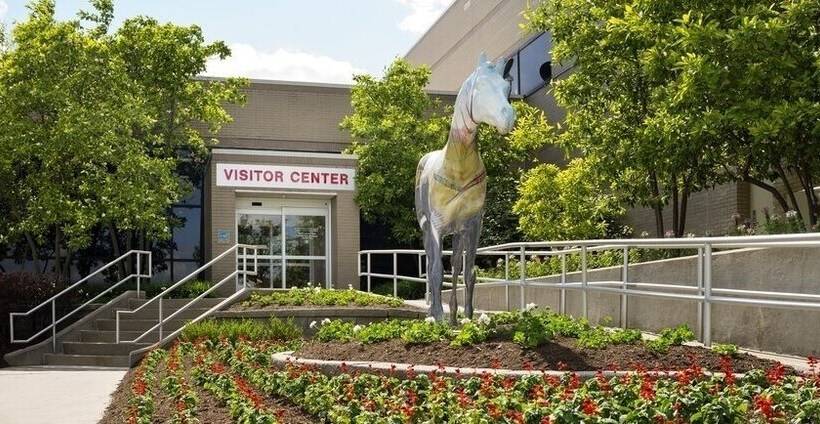 فندق صغير The North Star Inn