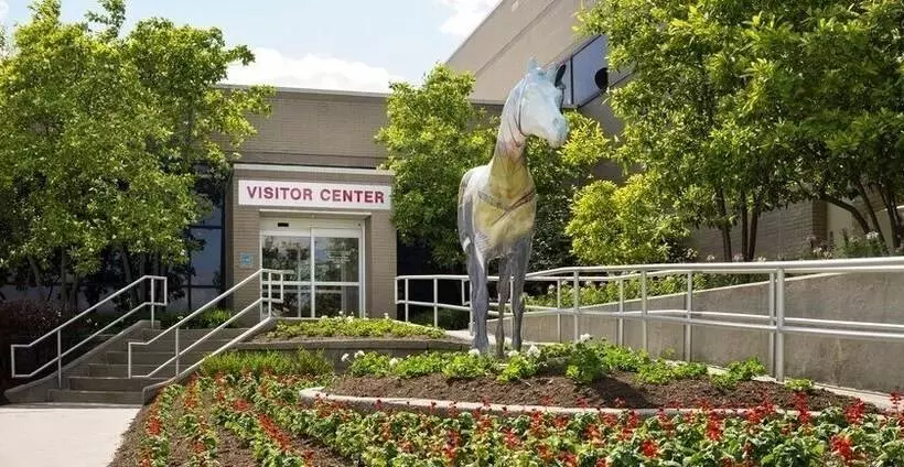 Retkeilymaja The North Star Inn