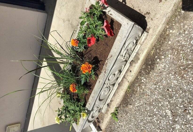 فندق صغير The North Star Inn