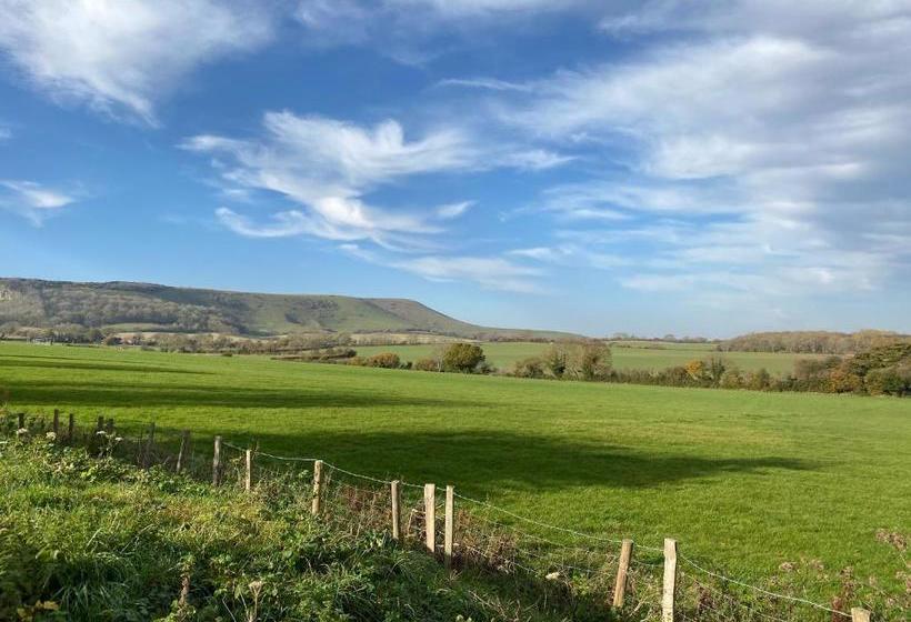 ユースホステル The Rose Cottage Inn