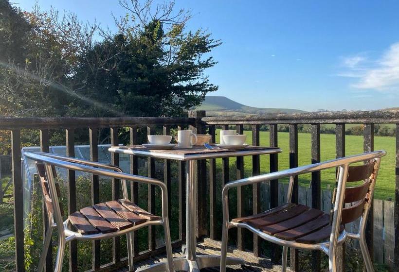 ユースホステル The Rose Cottage Inn