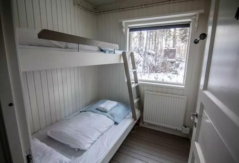 Aurora Camp