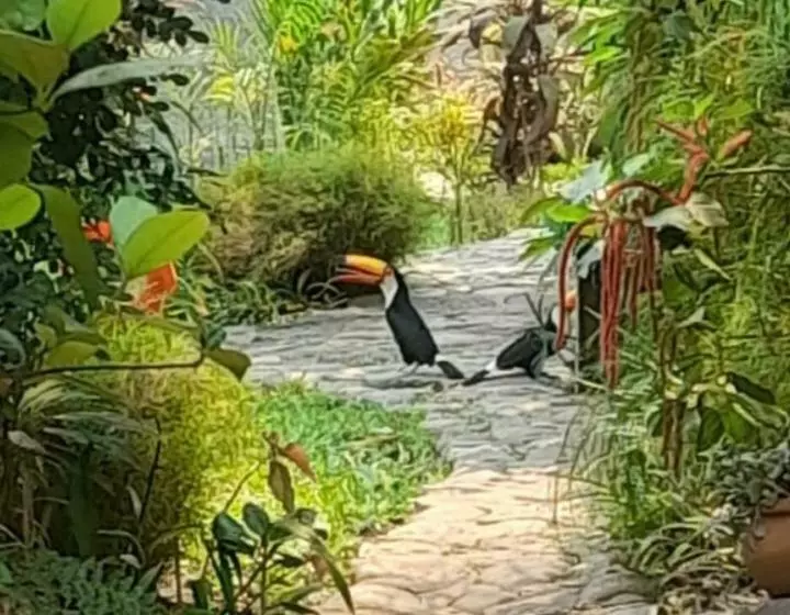 Aamiaismajoitus (B&B) El Jardin Colonial