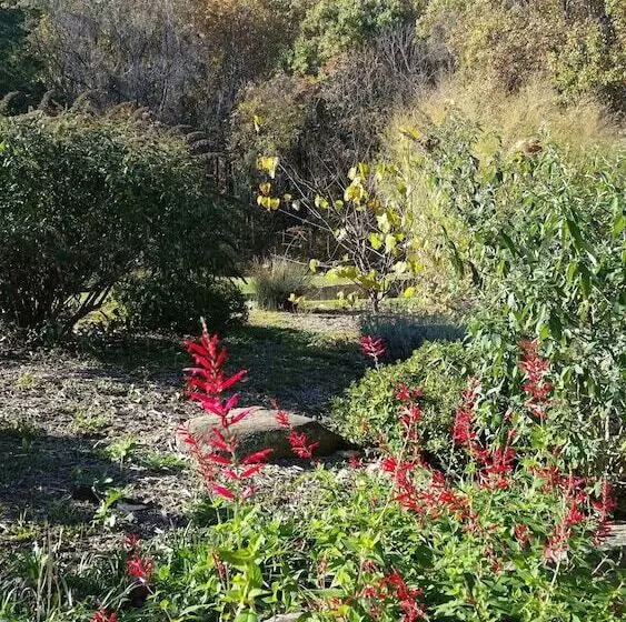 Aamiaismajoitus (B&B) Stone Manor Boutique Inn