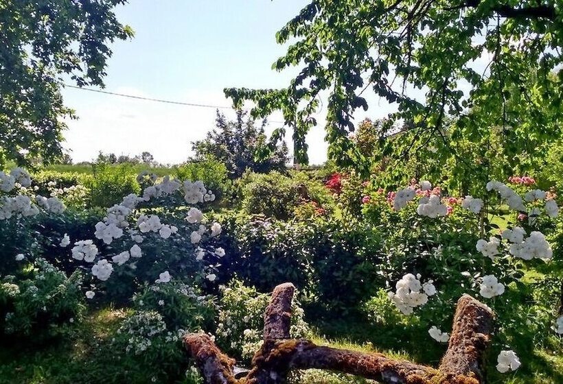 Bed and Breakfast Villa Albertina