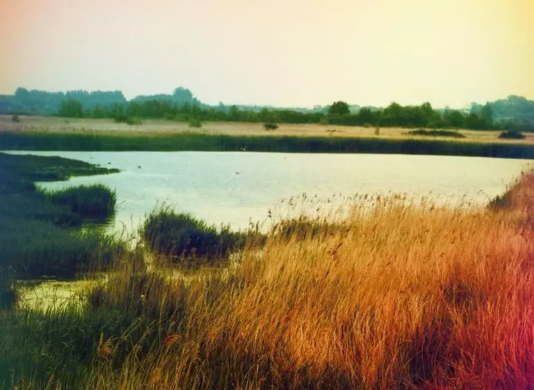 Retkeilymaja The Grove Ferry Inn