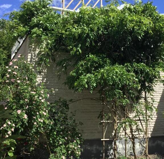 مبيت وإفطار Easter Bay