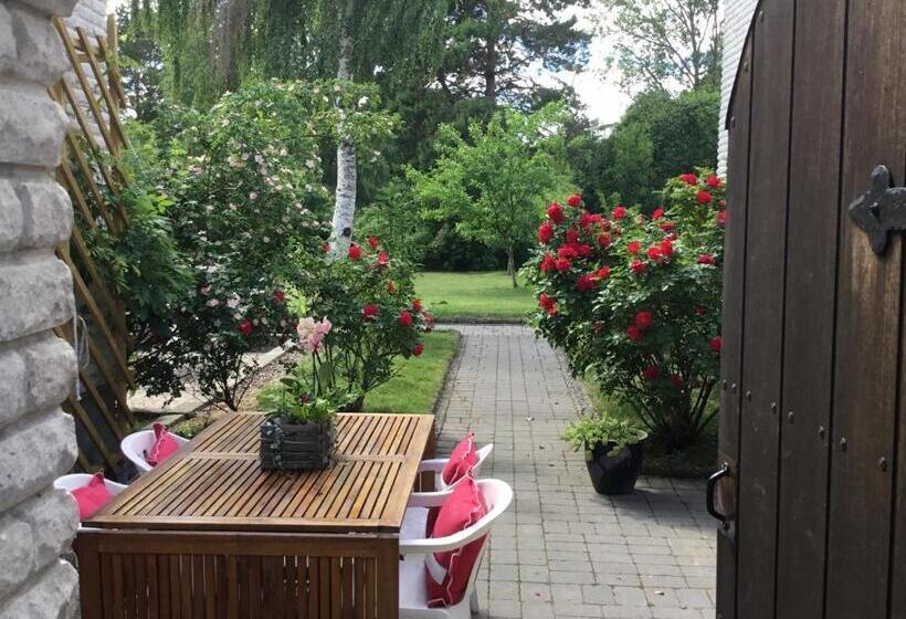 مبيت وإفطار Easter Bay