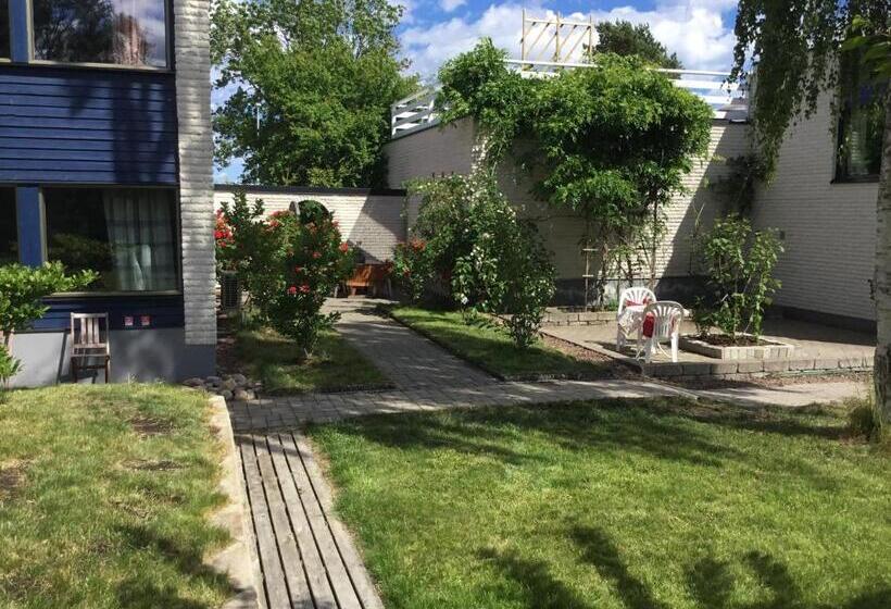 مبيت وإفطار Easter Bay