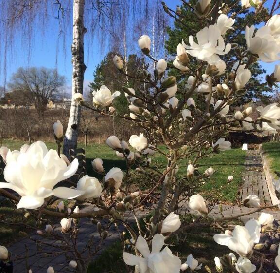 مبيت وإفطار Easter Bay