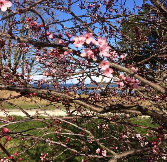 مبيت وإفطار Easter Bay