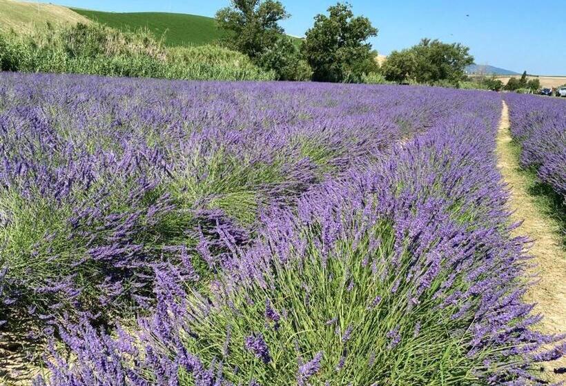 צימר Podere Il Mulino