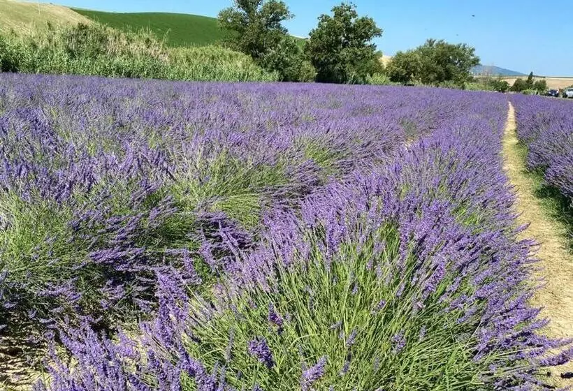 Aamiaismajoitus (B&B) Podere Il Mulino