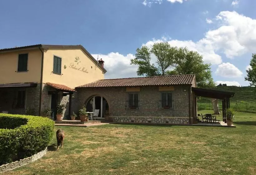 Aamiaismajoitus (B&B) Podere Il Mulino