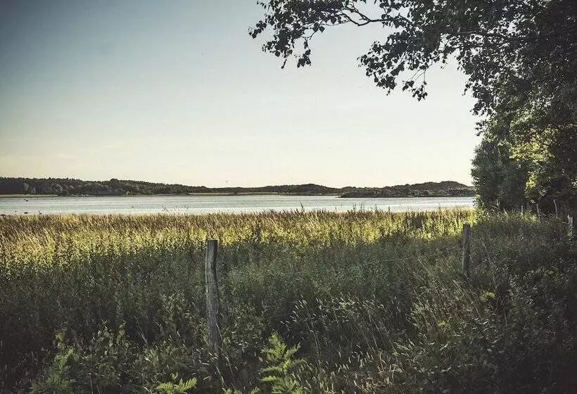 Färjås Yogaretreats B&b