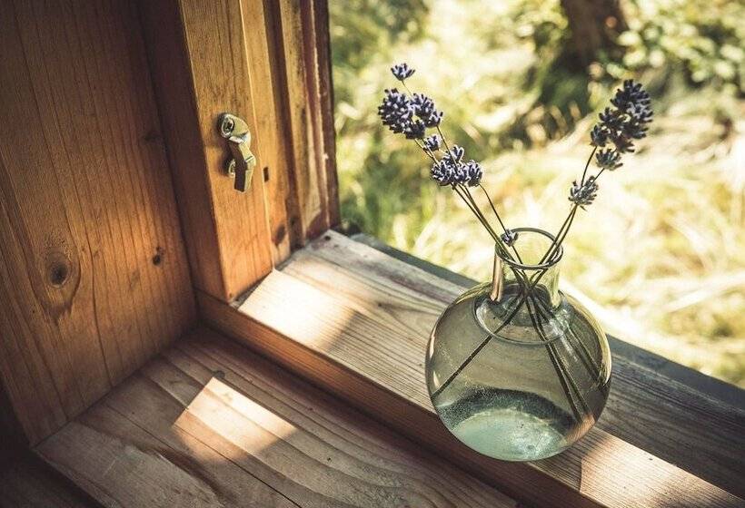 Färjås Yogaretreats B&b