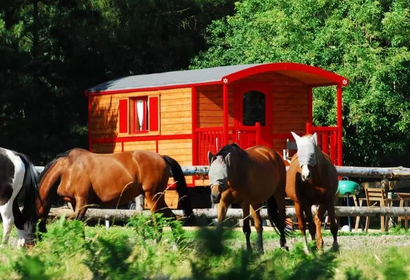 Gypsy Nature B&b