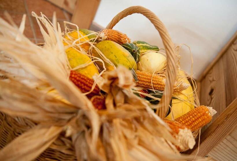 בית מלון כפרי Agritur Renetta