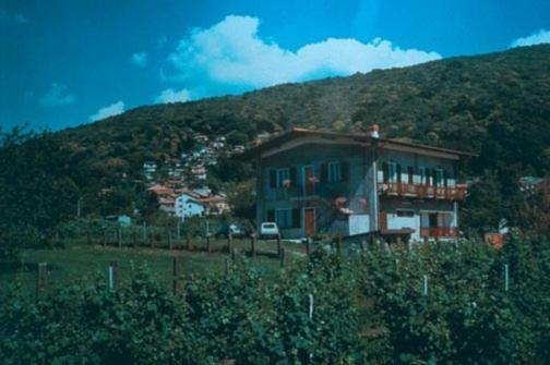 ホテル Agriturismo La Betulla