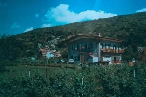 Hotelli Agriturismo La Betulla